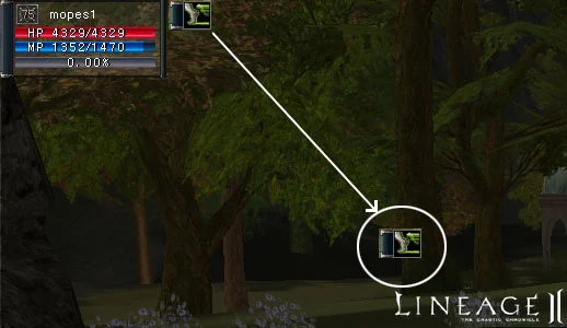 The Interface