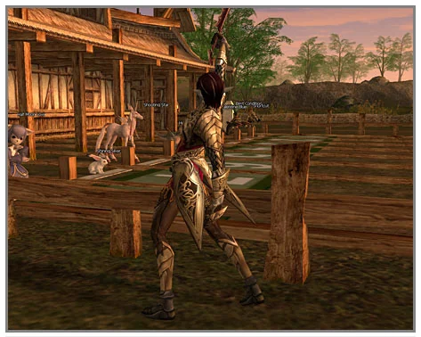 Minigames and Conveniences