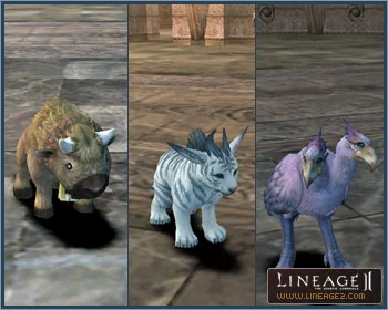 Pets and Servitors